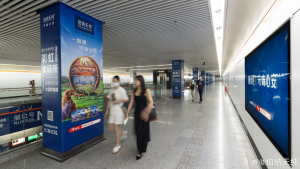 上海地鐵花木路站廣告價(jià)格多少錢(qián)？上海地鐵會(huì)展廣告案例亞寵展