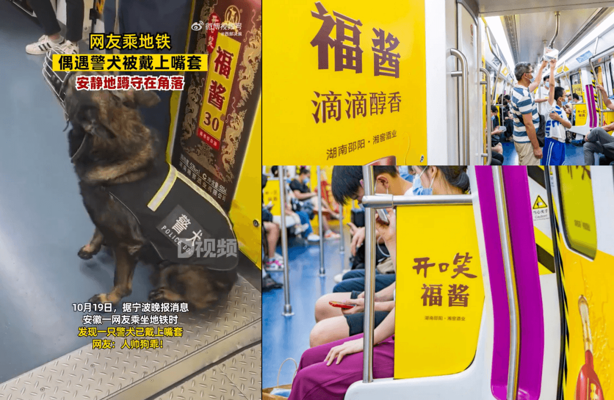 長沙地鐵廣告價格多少錢？長沙地鐵列車內(nèi)包車廣告全線覆蓋酒案例